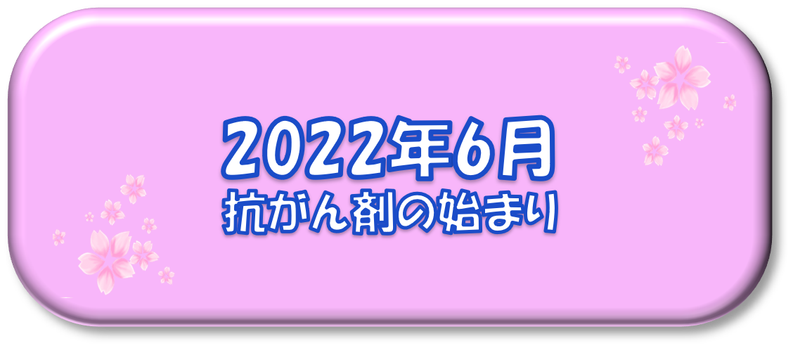 2022年6月～抗がん剤の始まり～