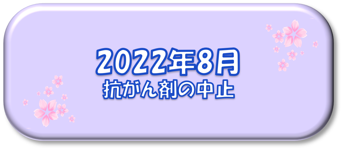 2022年8月～抗がん剤の中止～