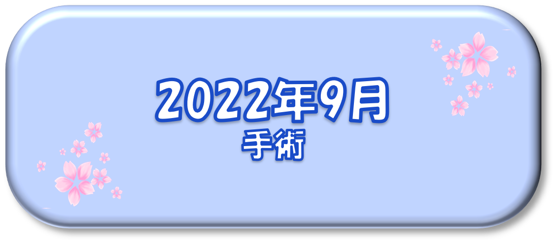 2022年9月～手術～