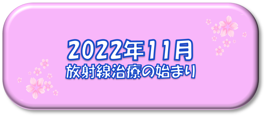 2022年11月～放射線治療の始まり～