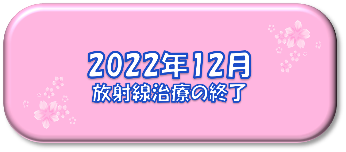 2022年12月～放射線治療の終了～