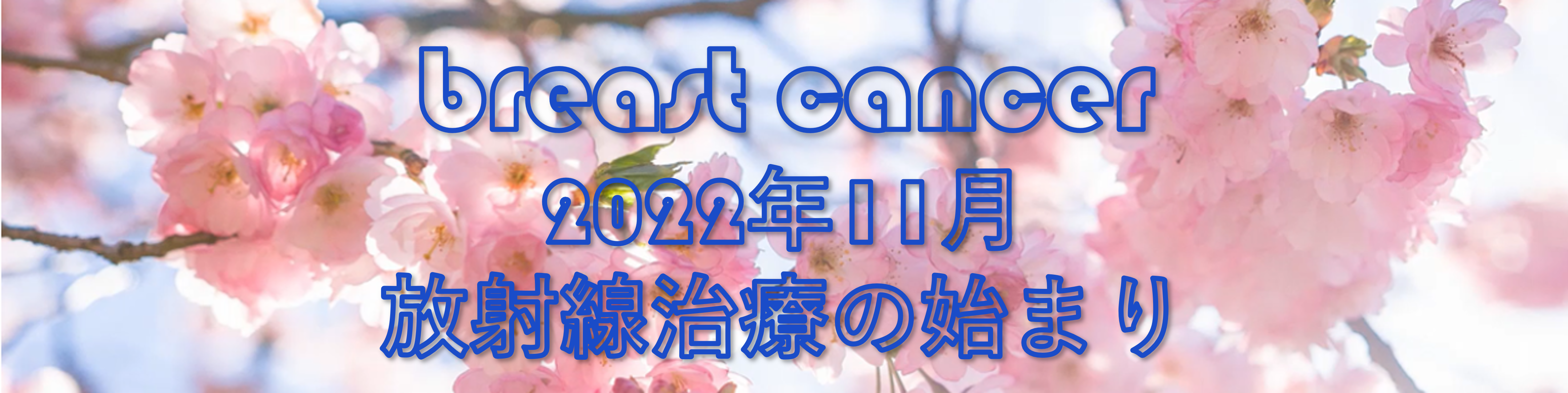 2022年11月のタイトル画像