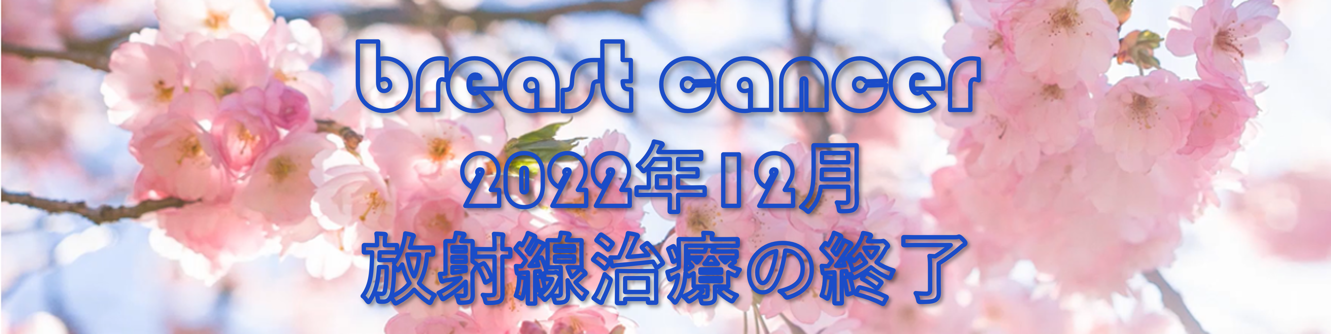 2022年12月のタイトル画像