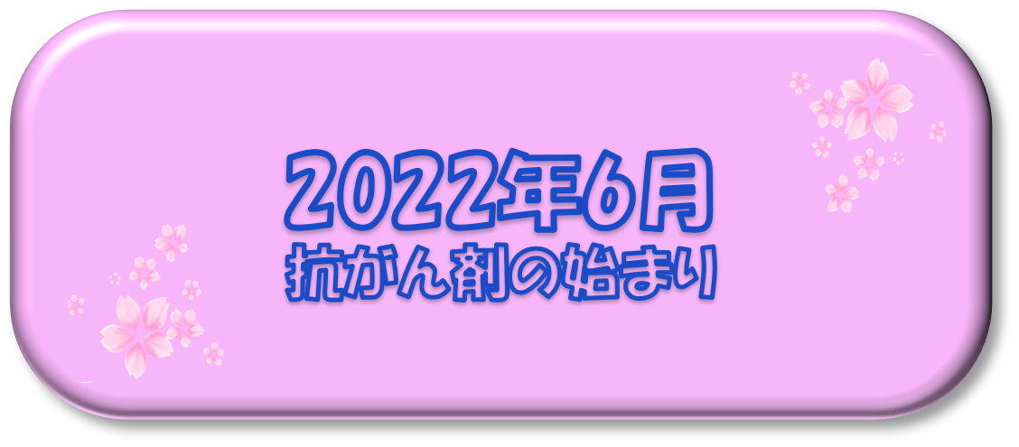 2022年6月～抗がん剤の始まり～