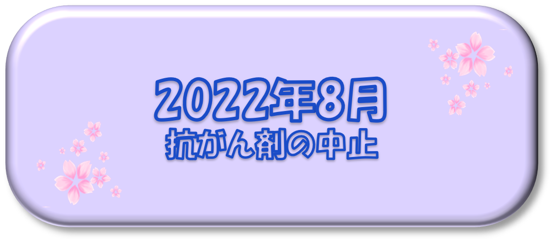 2022年8月～抗がん剤の中止～