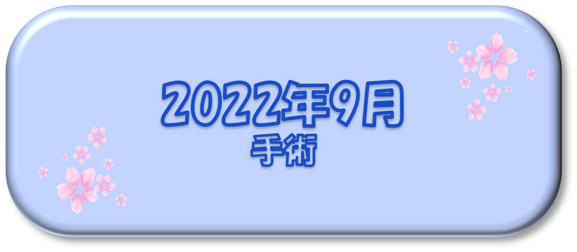 2022年9月～手術～