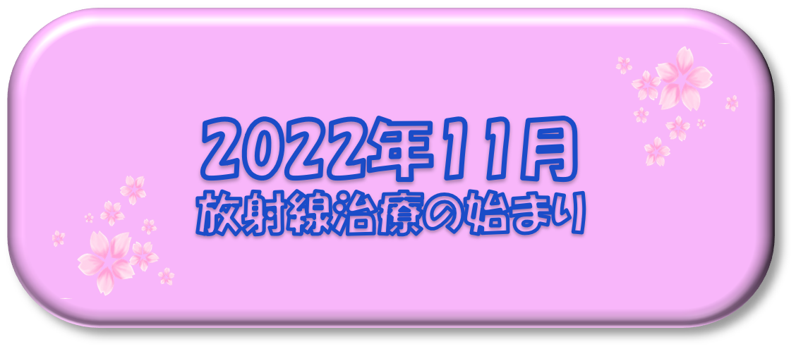 2022年11月～放射線治療の始まり～