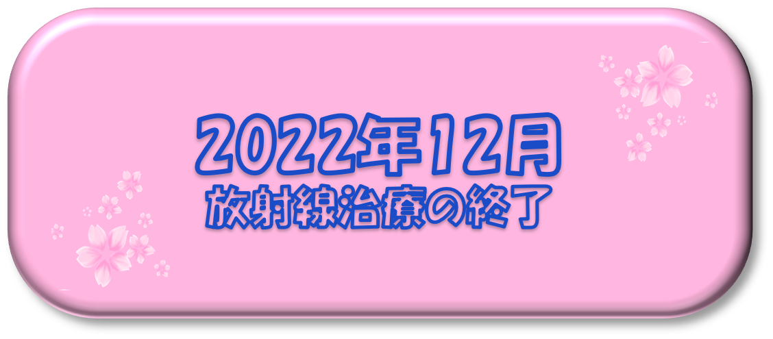 2022年12月～放射線治療の終了～