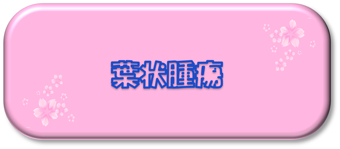 葉状腫瘍