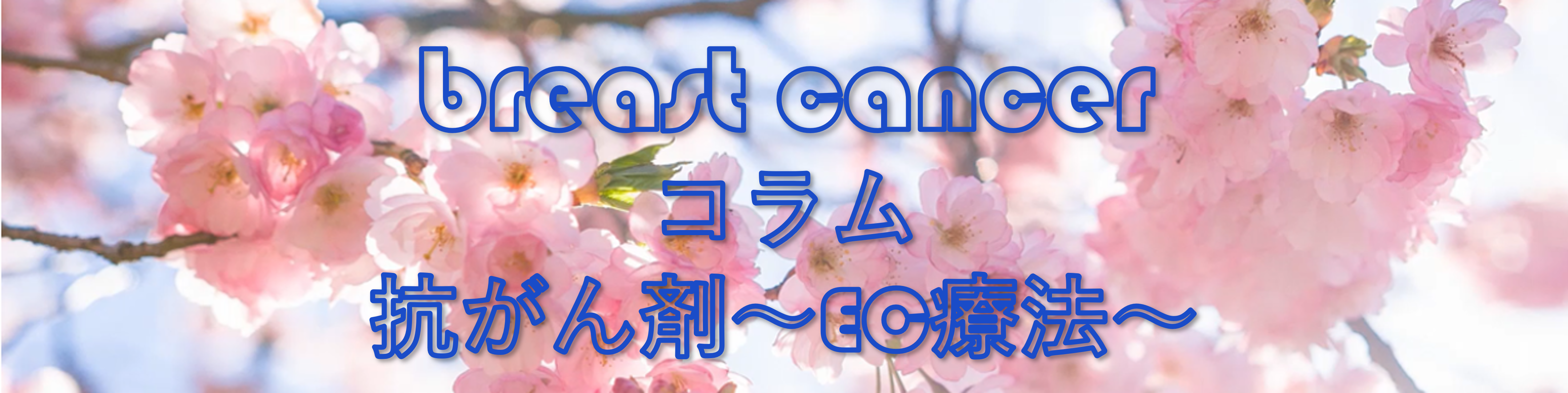 抗がん剤～EC療法～