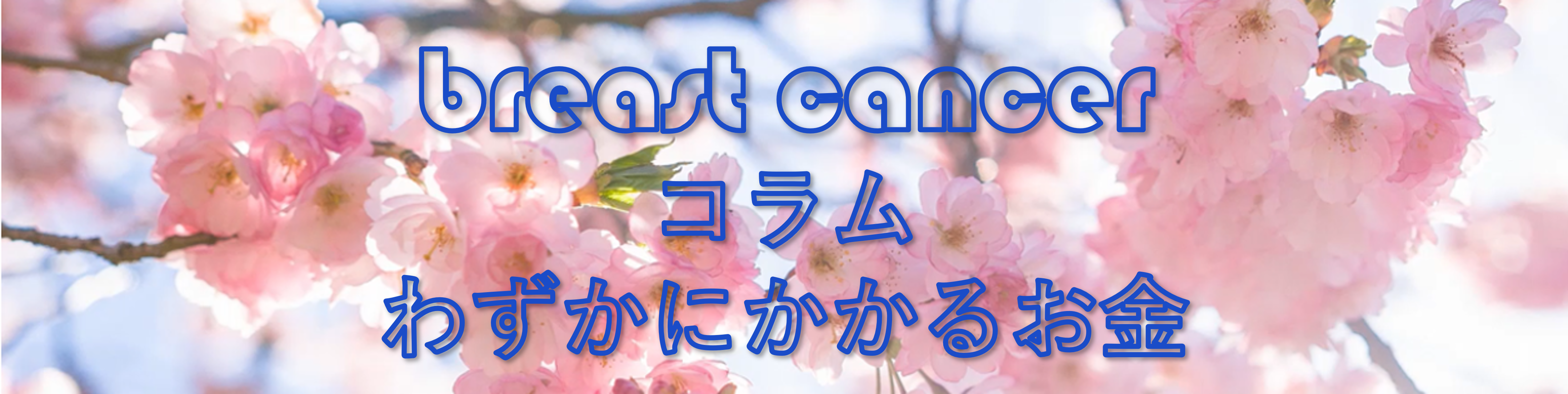 わずかにかかるお金の話