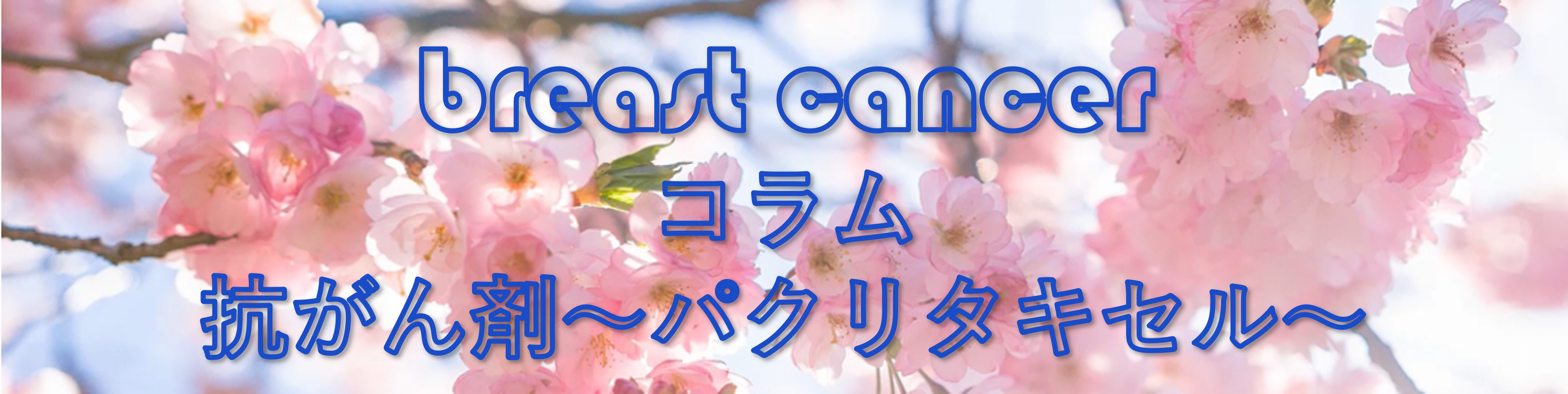 抗がん剤～パクリタキセル～
