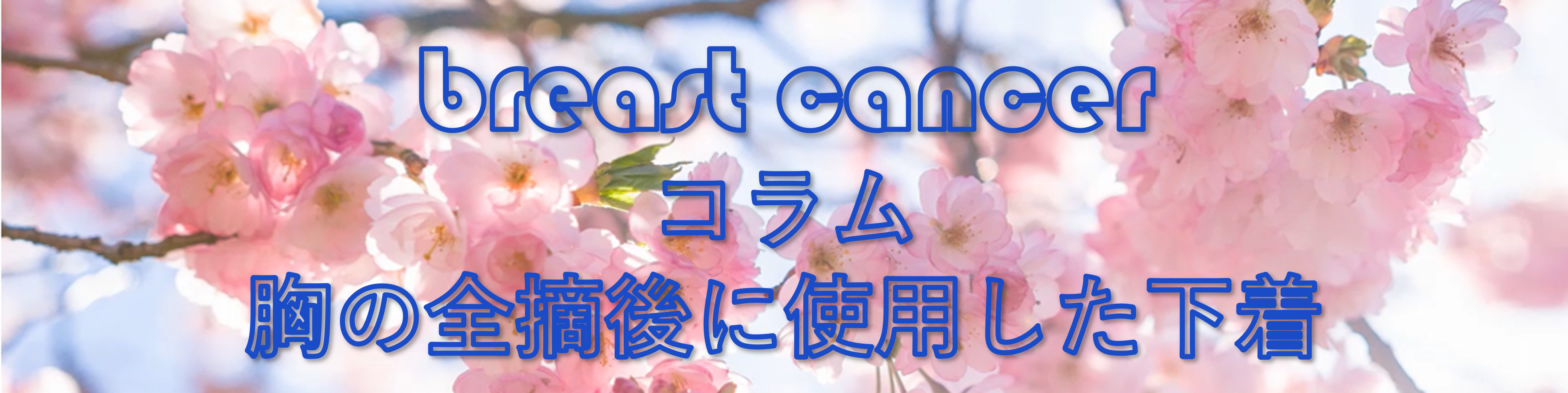 胸の全摘後に使用した下着