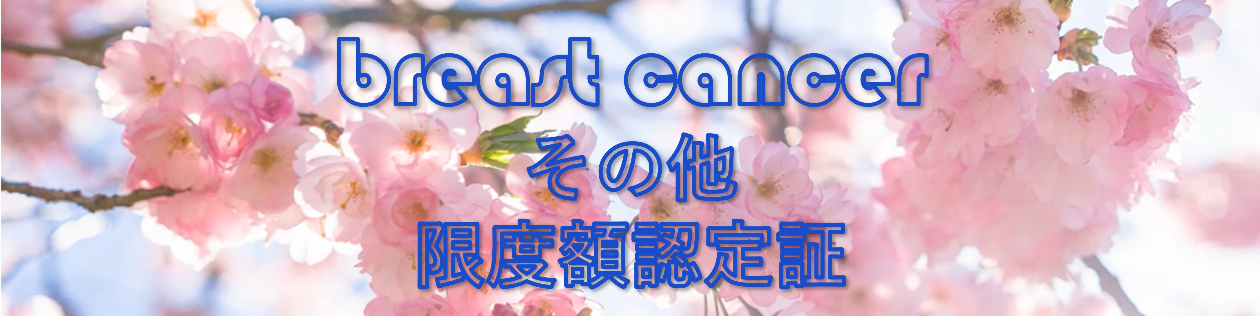 限度額適用認定証