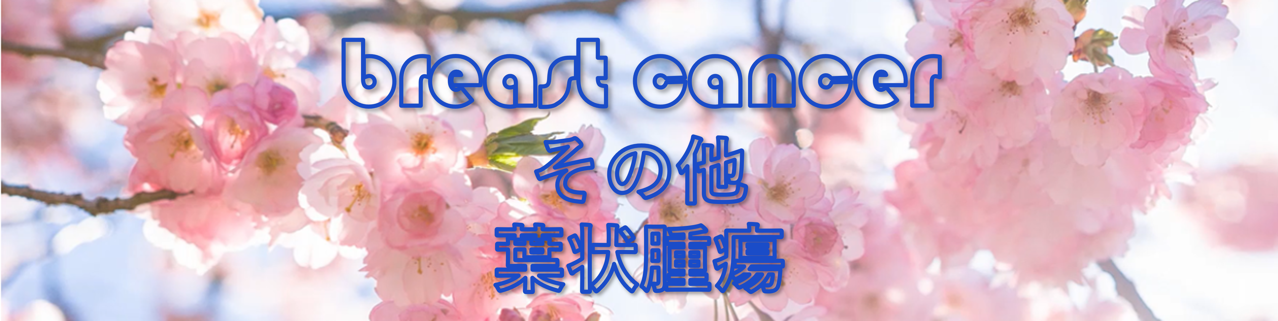 葉状腫瘍