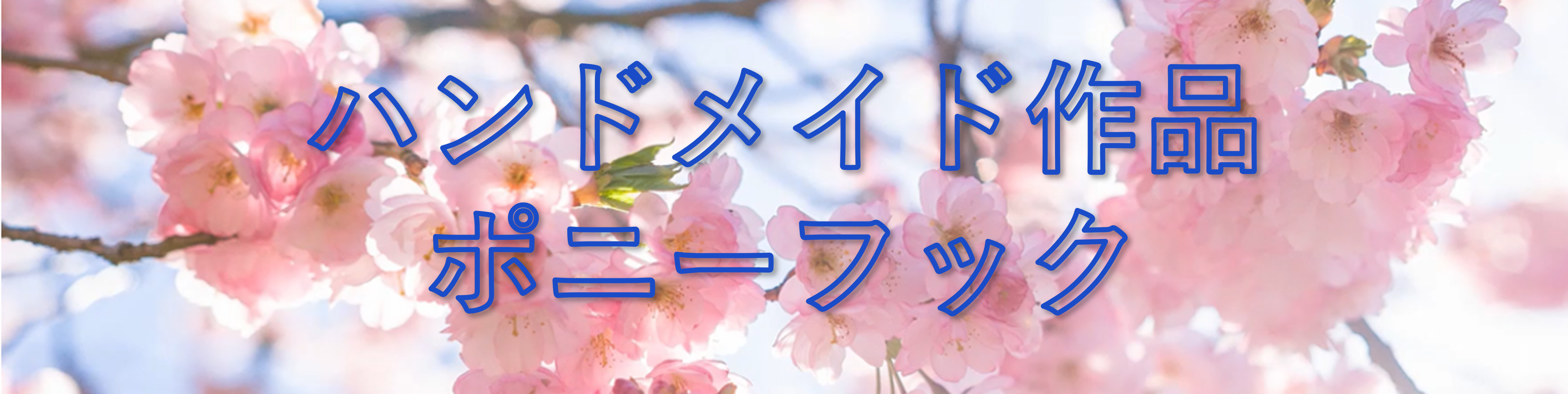 ポニーフックタイトル画像