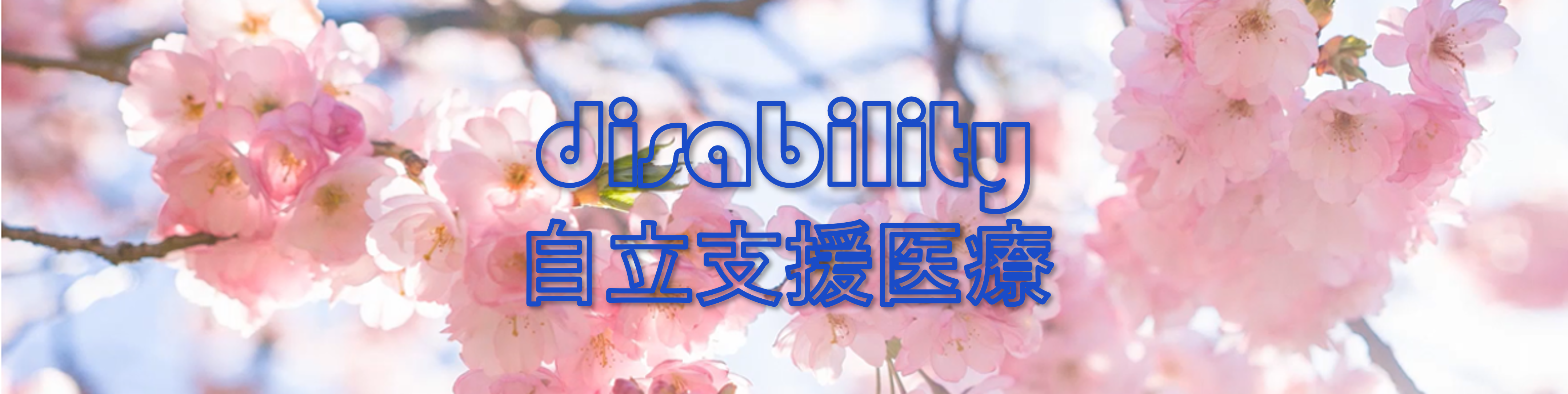 自立支援医療