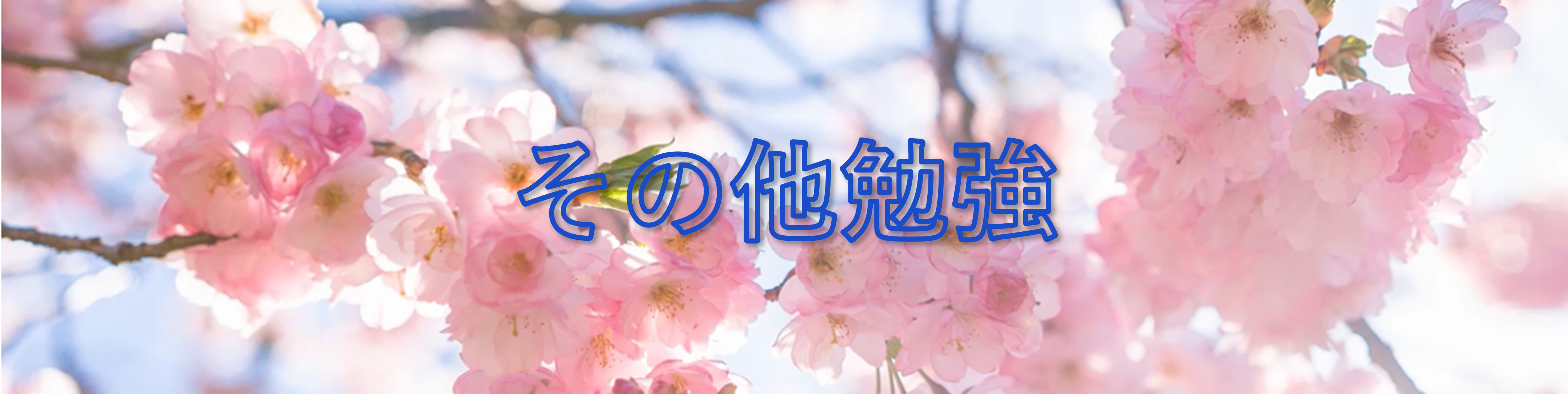 その他勉強タイトル画像